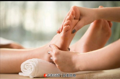 茶叶爱好者论坛